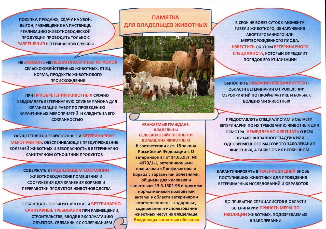 План профилактики незаразных болезней сельскохозяйственных животных по хозяйству